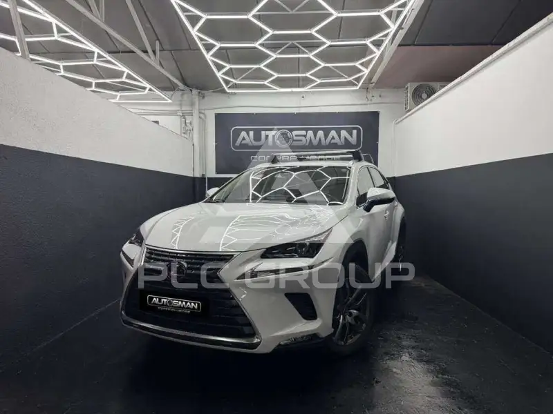 2019 Lexus NX300