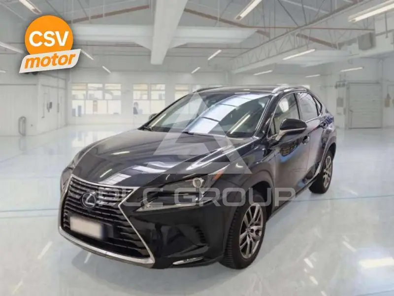2019 Lexus NX300