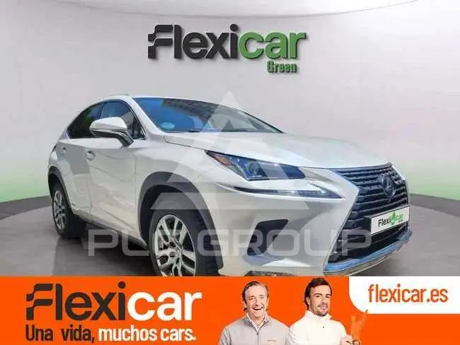 2019 Lexus NX300