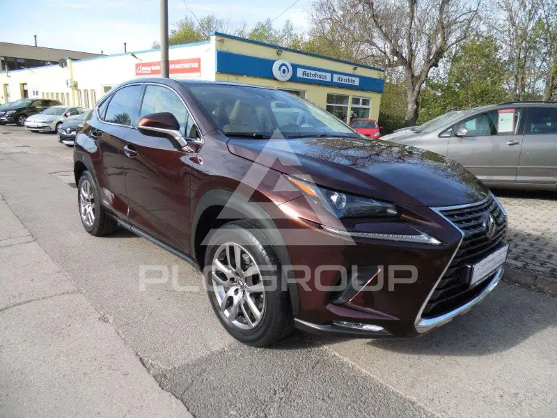 2019 Lexus NX300