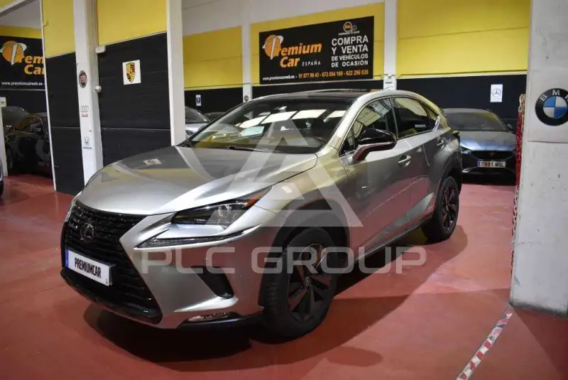 2019 Lexus NX300