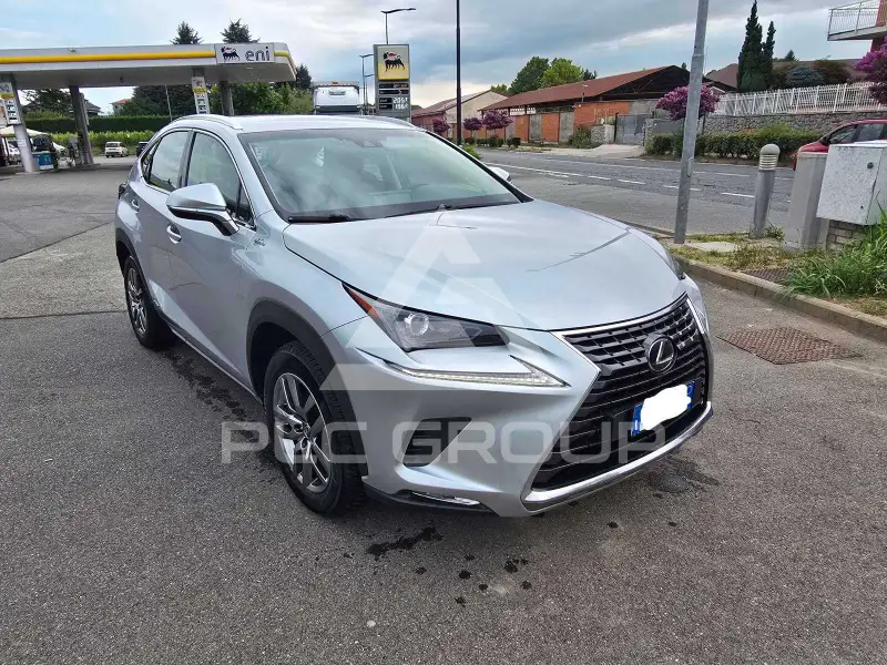 2019 Lexus NX300