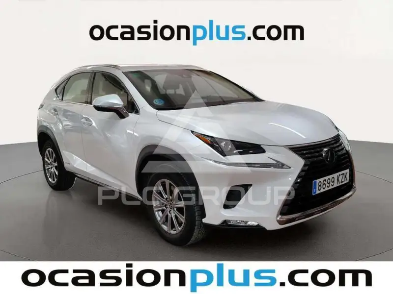 2019 Lexus NX300