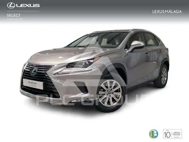 2019 Lexus NX300