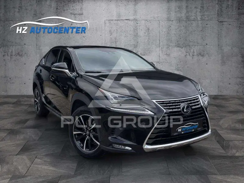 2019 Lexus NX300