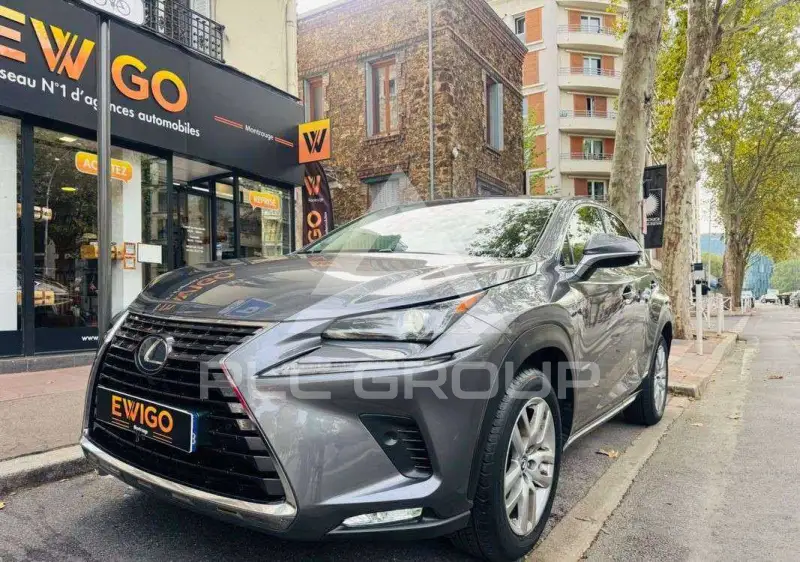 2019 Lexus NX300