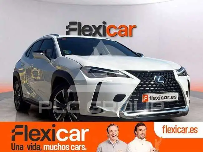 2019 Lexus UX250