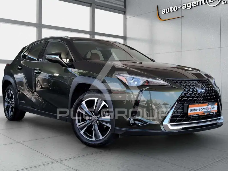 2019 Lexus UX250