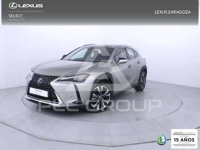 2019 Lexus UX250
