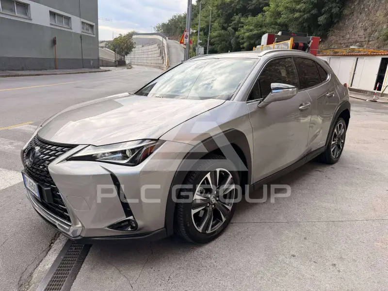 2019 Lexus UX250