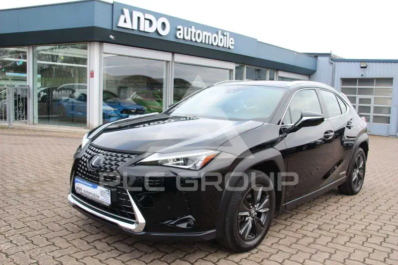 2019 Lexus UX250