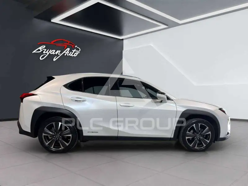 2019 Lexus UX250