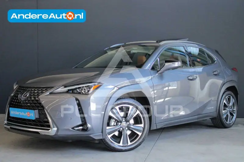 2019 Lexus UX250