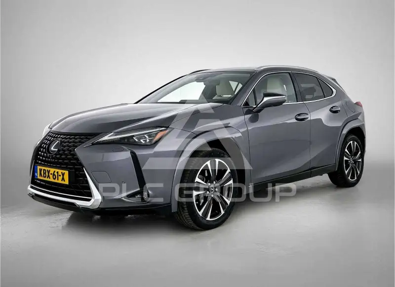 2019 Lexus UX250