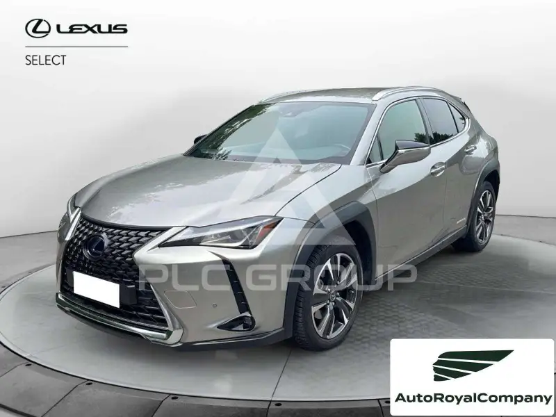 2019 Lexus UX250