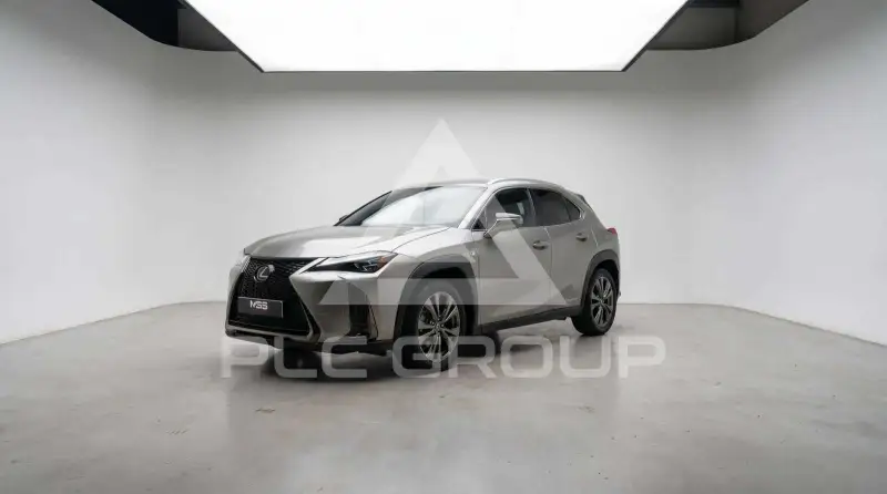 2019 Lexus UX250