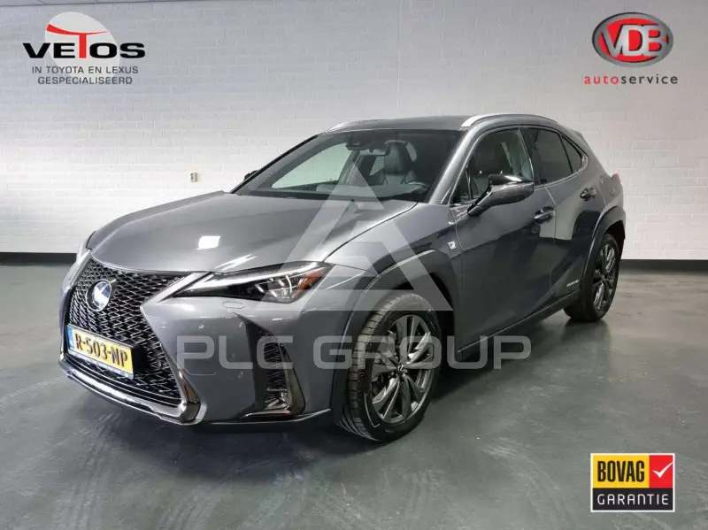2019 Lexus UX250