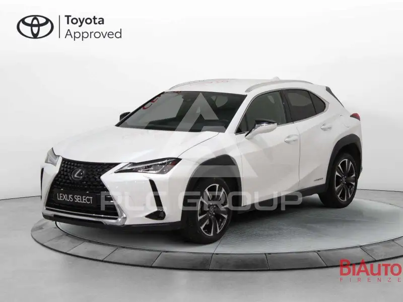 2019 Lexus UX250