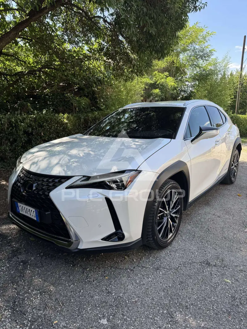 2019 Lexus UX250