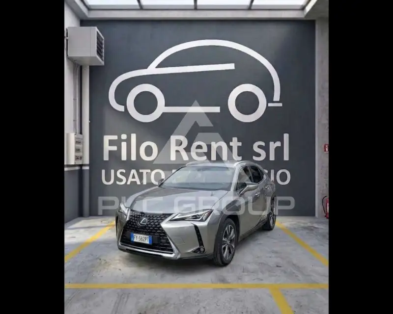 2019 Lexus UX250