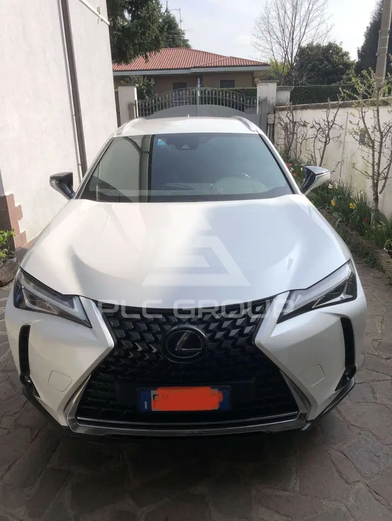 2019 Lexus UX250