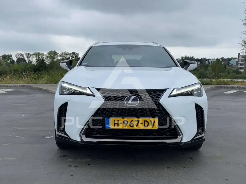 2019 Lexus UX250