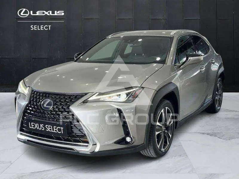 2019 Lexus UX250