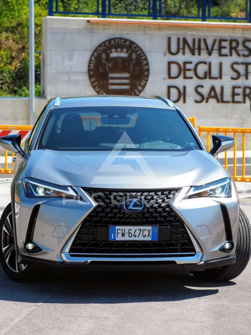 2019 Lexus UX250