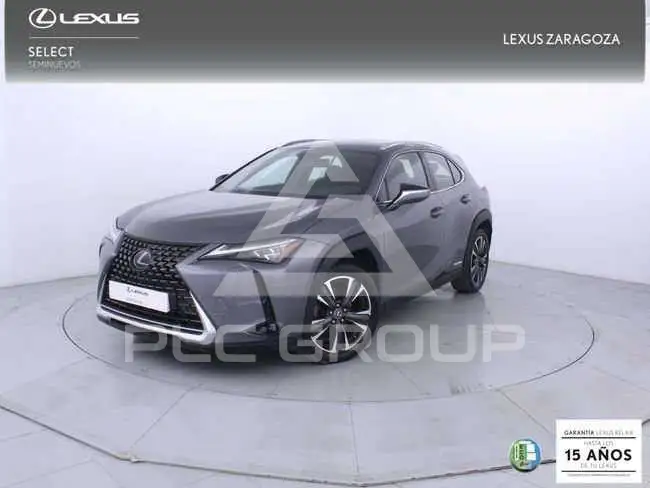 2019 Lexus UX250