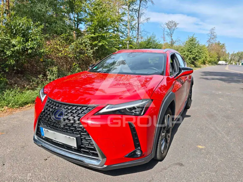 2019 Lexus UX250
