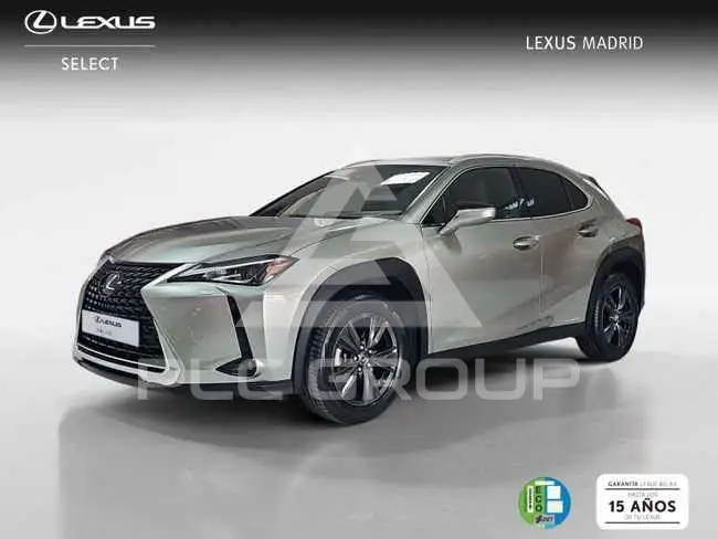 2019 Lexus UX250