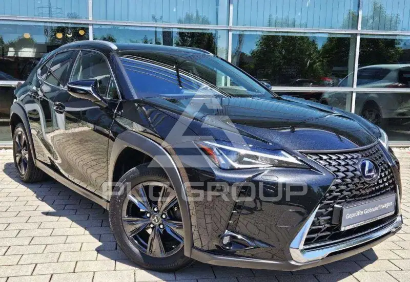 2019 Lexus UX250