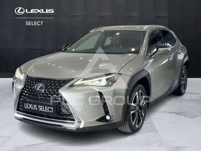 2019 Lexus UX250