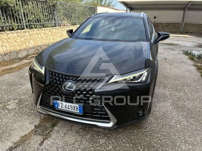 2019 Lexus UX250