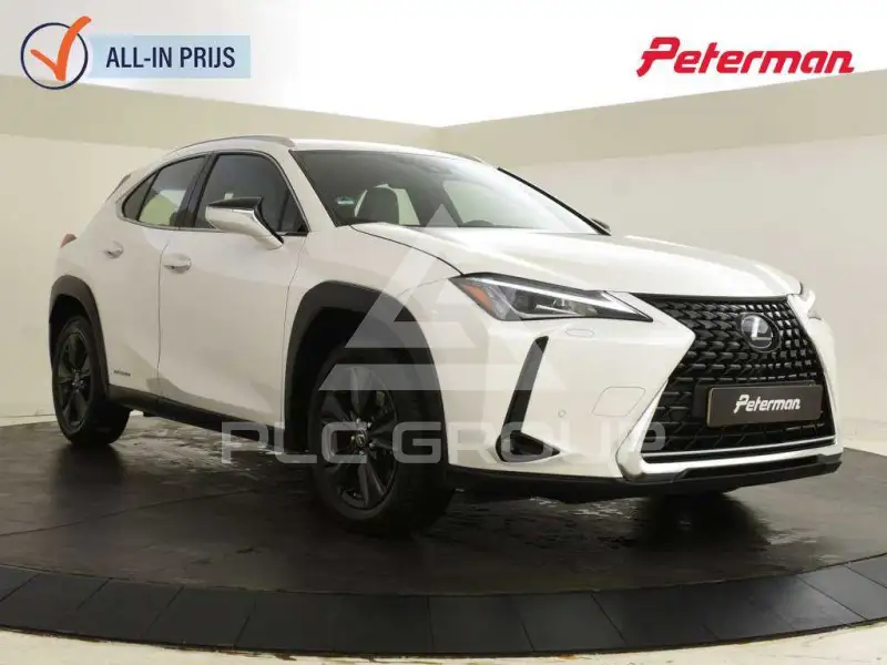 2019 Lexus UX250