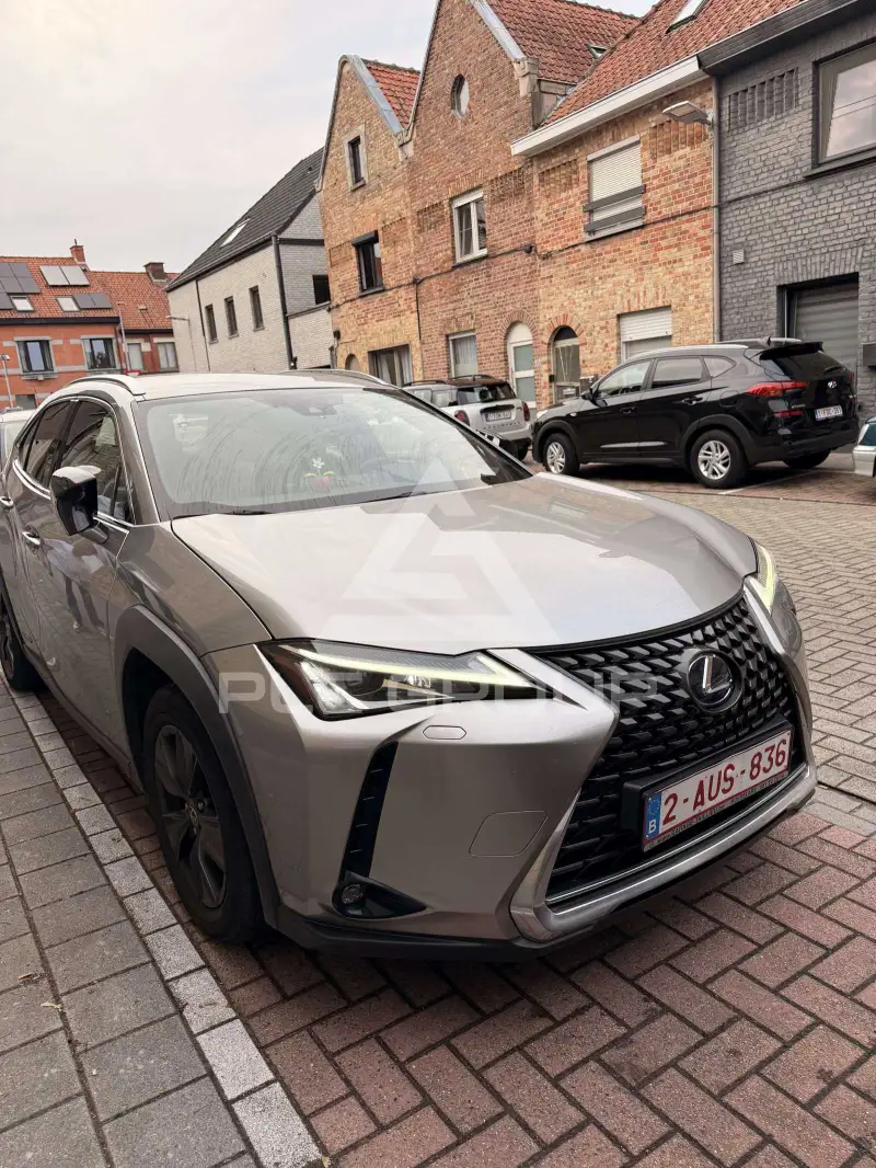 2019 Lexus UX250