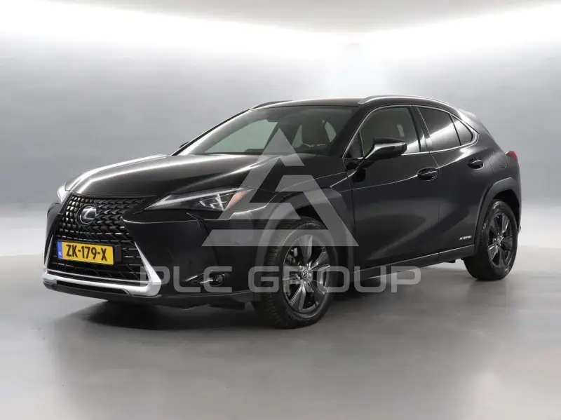 2019 Lexus UX250