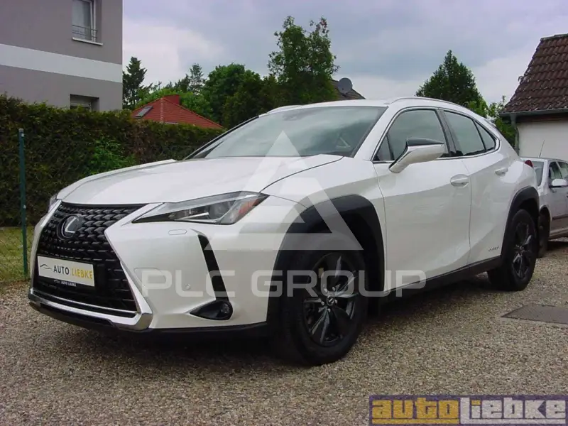 2019 Lexus UX250