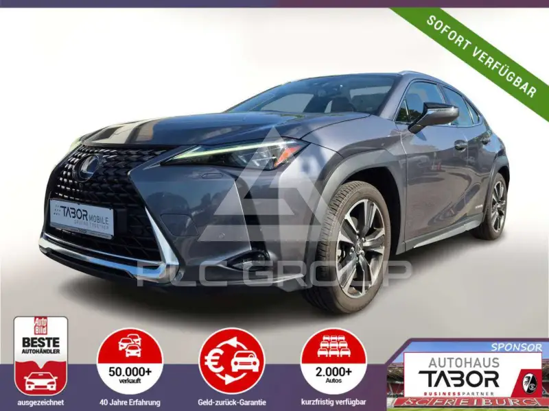 2019 Lexus UX250