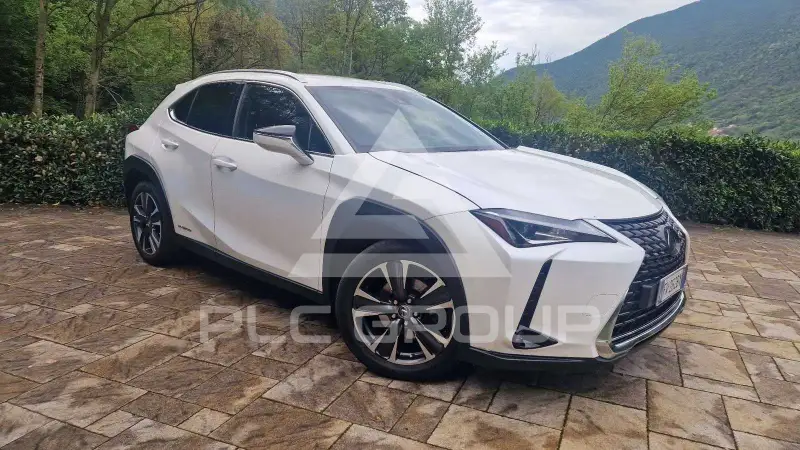 2019 Lexus UX250