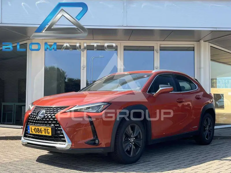 2019 Lexus UX250