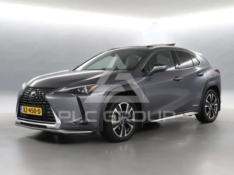 2019 Lexus UX250