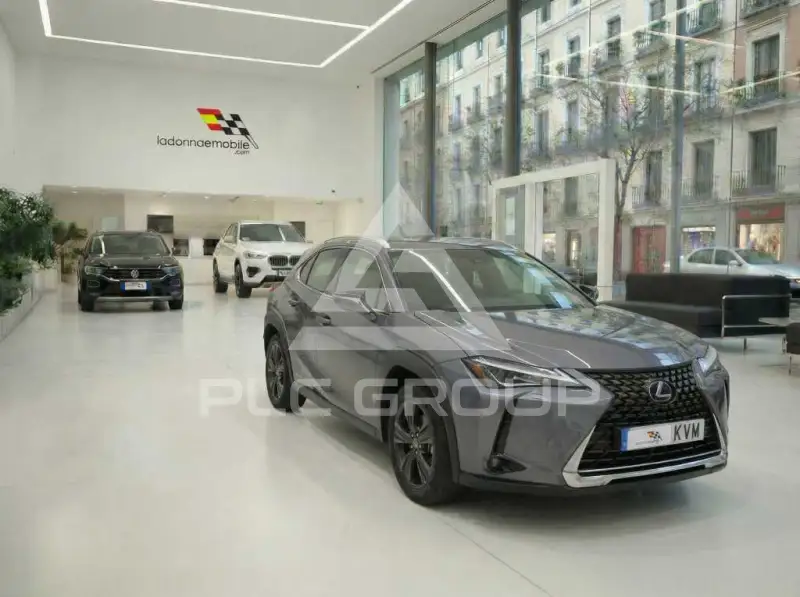 2019 Lexus UX250