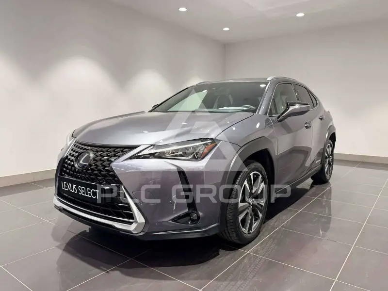 2019 Lexus UX250
