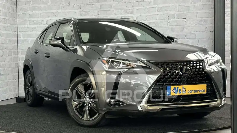 2019 Lexus UX250