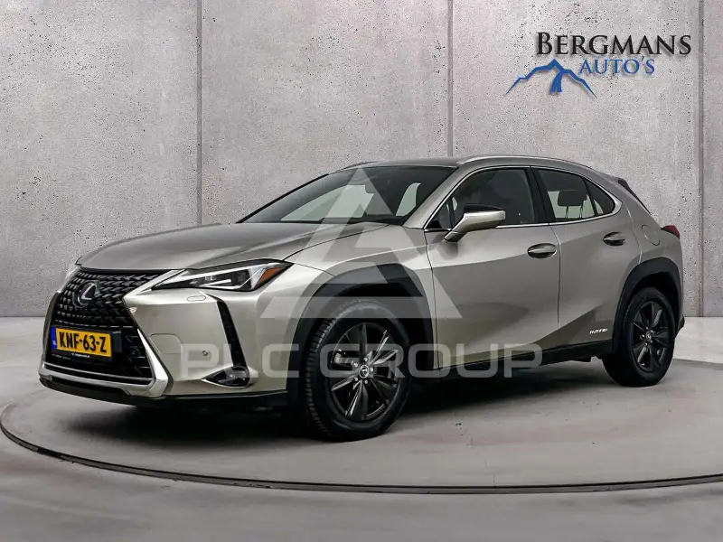 2019 Lexus UX250