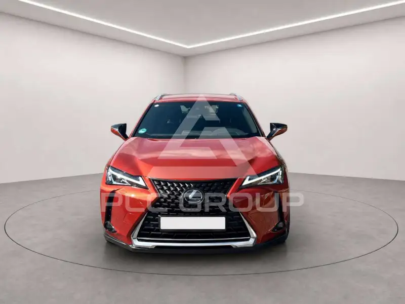2019 Lexus UX250