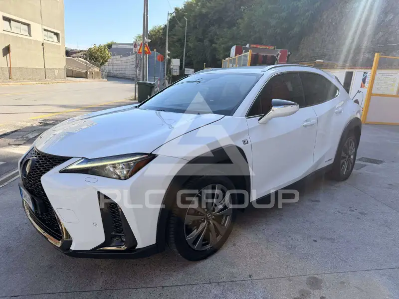 2019 Lexus UX250