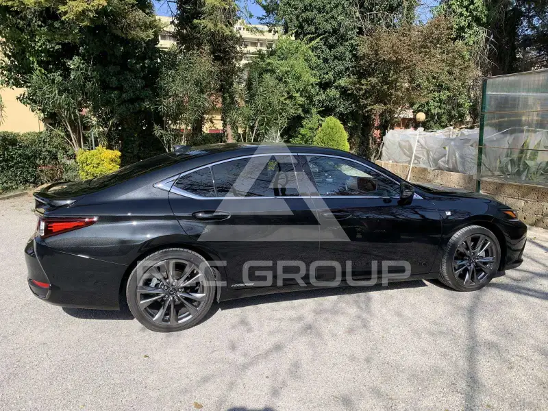 2019 Lexus ES300