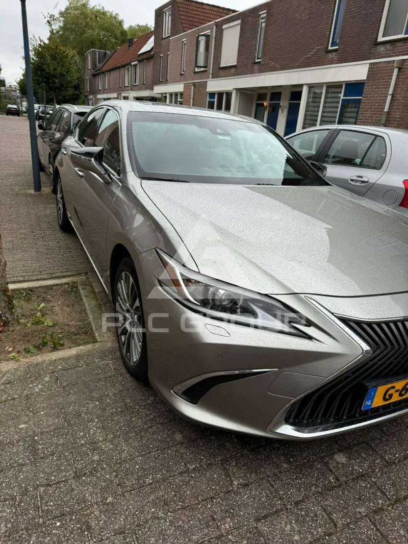 2019 Lexus ES300